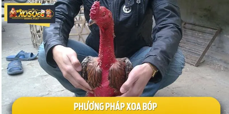 Lưu ý đến phương pháp xoa bóp trong quá trình chăm sóc